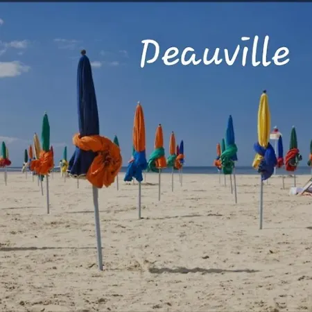 Apartman Hyper Centre, Cathedrale, Fibre