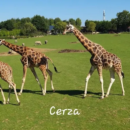 Hyper Centre, Cathedrale, Fibre Apartman *